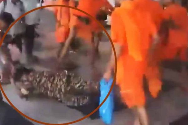 कांवडिय़ों की गुंडई, सीआरपीएफ जवान को रेलवे स्टेशन पर पटककर लात-जूतों से पीटा, आरपीएफ ने दर्ज किया गया मामला 1 neeraj up 80