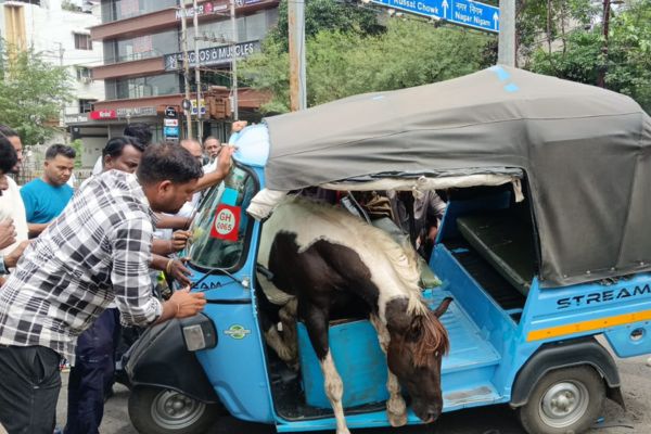 ये जबलपुर शहर की कॉलोनी है जानाब. 4 1