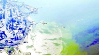 बाल-बाल बचा अमेरिकी B-52 बॉम्बर और कमर्शियल प्लेन, एयर ट्रैफिक कंट्रोल की बड़ी लापरवाही उजागर 11 ये जबलपुर शहर की कॉलोनी है जानाब. 7 1