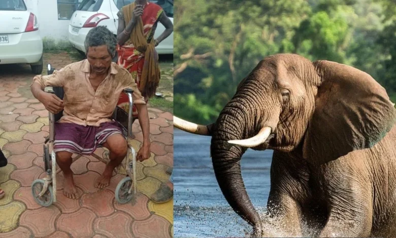 26 08 2025 dindori elephant attack 2025826 143620