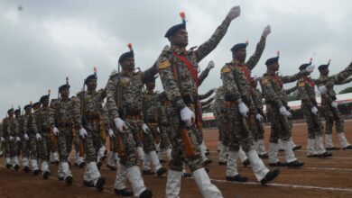 5620d52d 55b2 4f78 882a 732e2453dad7