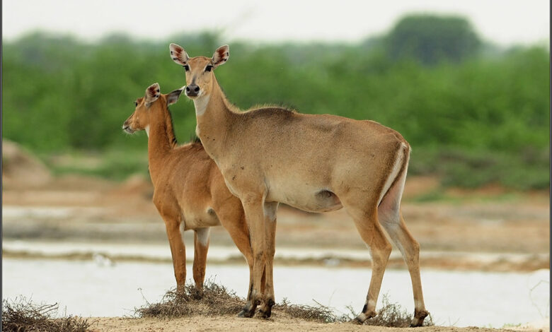 8055750448 4b96762bd3 b