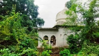 यश भारत विशेष : दुर्लभ बिल्ब पत्र- यहां मिलते है तीन से लेकर 21 पत्तियों वाले बेल पत्र... होता है साक्षात महादेव का वास 7 IMG 20250802 WA0095