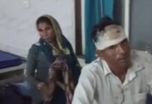 IMG 054401 23825 1755908053646