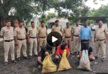 IMG 173735 28825 1756382870101