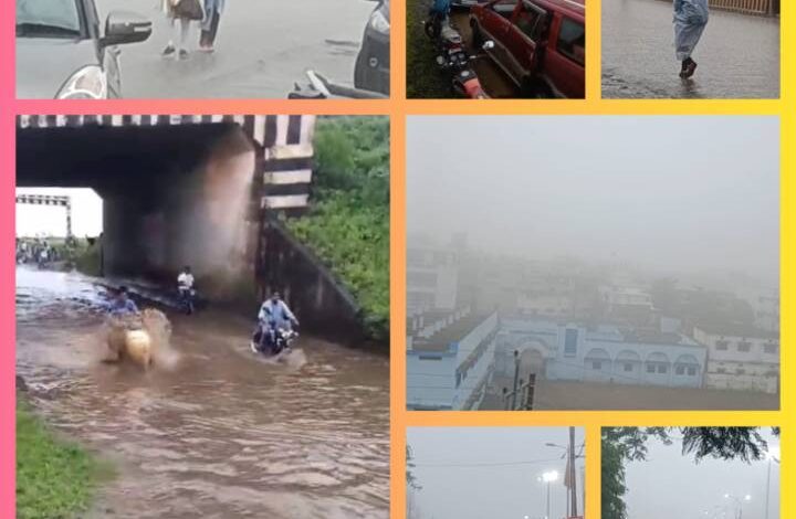 मौसम की छटा, छाया कोहरा : झमाझम बारिश के बाद बदला मौसम 1 IMG 185107 10825 1754832079325