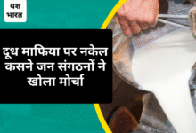 दूध माफिया पर नकेल कसने जन संगठनों ने खोला मोर्चा कलेक्टर से की हस्तक्षेप की मांग सबसे पहले यश भारत ने उठाया था मुद्दा 10 IMG 20250803 140529