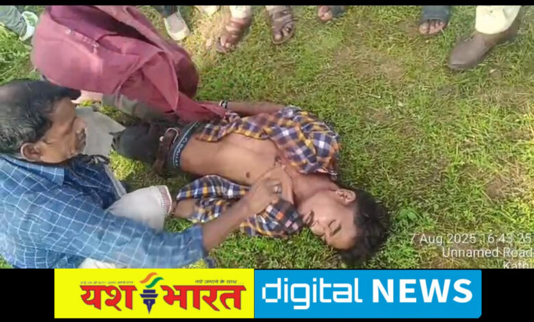 ब्रेकिंग: बाघ के हमले में युवक हुई मौत, मौके पर पहुंचा वन विभाग का अमला, मामले की कर रहा जांच 1 IMG 20250807 175517