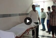 IMG 211221 20825 1755704553303