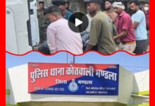 InCollage 20250818 094933918