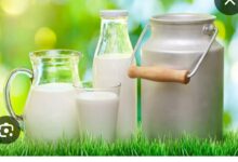 Screenshot 2025 08 22 09 17 13 64 40deb401b9ffe8e1df2f1cc5ba480b12