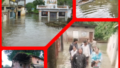 Screenshot 20250801 195641.Gallery