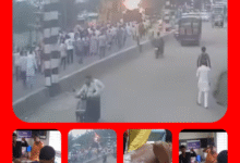 Screenshot 20250804 180233.Gallery