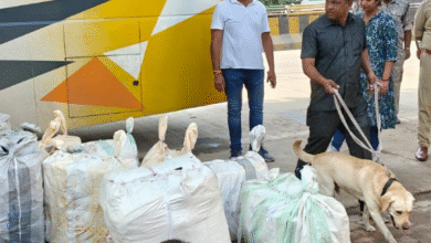 Screenshot 20250806 151659.WhatsApp