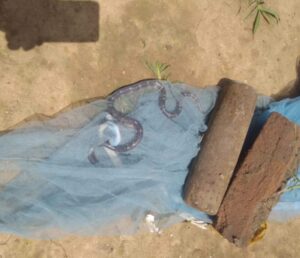 Screenshot 20250807 165402 WhatsApp2