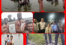 Screenshot 20250809 110348.Gallery