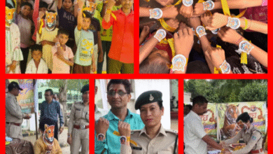 Screenshot 20250809 150920.Gallery