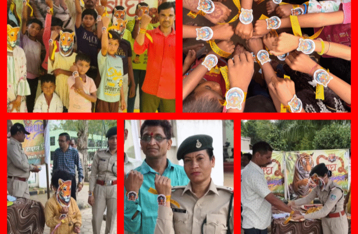 Screenshot 20250809 150920.Gallery