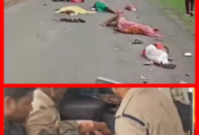 Screenshot 20250809 185749.Gallery