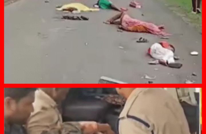 Screenshot 20250809 185749.Gallery