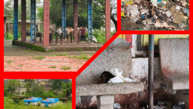 जिम्मेदार नींद में : मुक्तिधाम में खरपतवार की चादर , जर्जर स्थल बना परेशानियों का सबब 8 Screenshot 20250814 143621.Gallery