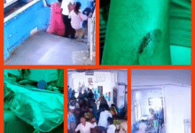 Screenshot 20250820 141711.Gallery