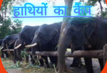 Screenshot 20250824 185048.Gallery