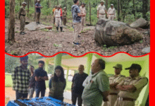 Screenshot 20250828 140554.Gallery