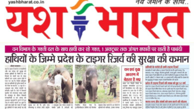 WhatsApp Image 2025 08 09 at 12.58.42