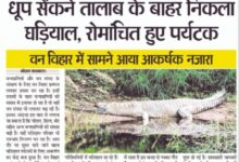 WhatsApp Image 2025 08 12 at 13.24.06