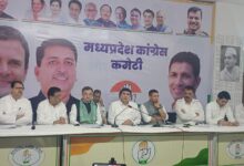 WhatsApp Image 2025 08 13 at 17.11.34