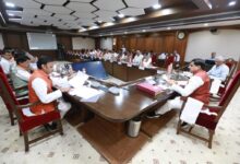 WhatsApp Image 2025 08 19 at 14.56.41