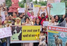 WhatsApp Image 2025 08 20 at 6.09.06 PM 1