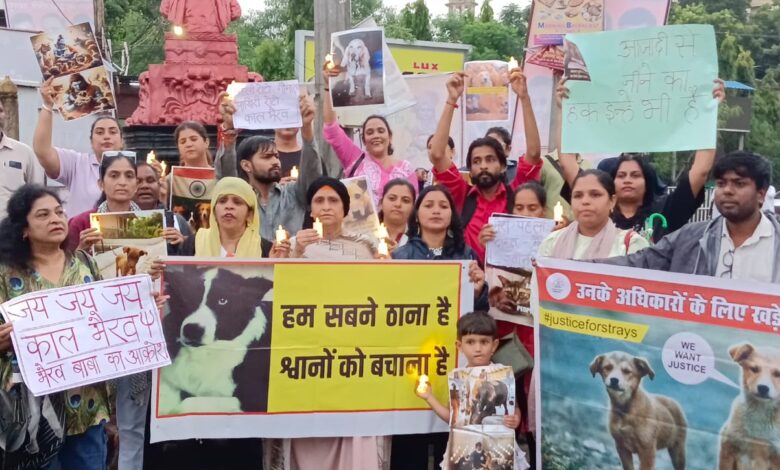 WhatsApp Image 2025 08 20 at 6.09.06 PM 1