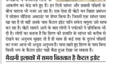 WhatsApp Image 2025 08 21 at 13.52.45