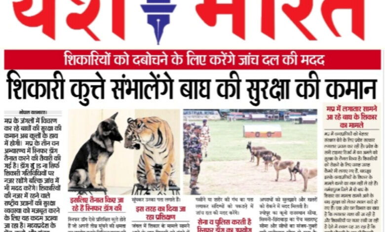 WhatsApp Image 2025 08 23 at 14.06.31