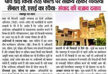 WhatsApp Image 2025 08 24 at 1.59.09 PM