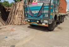 लाखों की अवैध यूकेलिप्टस की लकड़ी ज़ब्त, वन विभाग की बड़ी कार्रवाई 10 WhatsApp Image 2025 08 29 at 11.39.43 AM