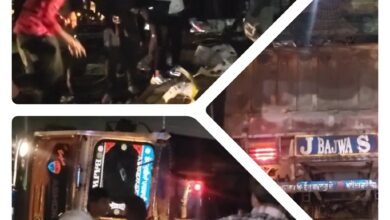 सेब से भरा ट्रक पलटा, घायल चालक को छोड़ ग्रामीणों ने की लूटपाट, गाय को बचाने के प्रयास में हुआ हादसा, 900 पेटियों से अधिक सेब सड़क पर बिखरे 6 collage 3 5 1754203218739