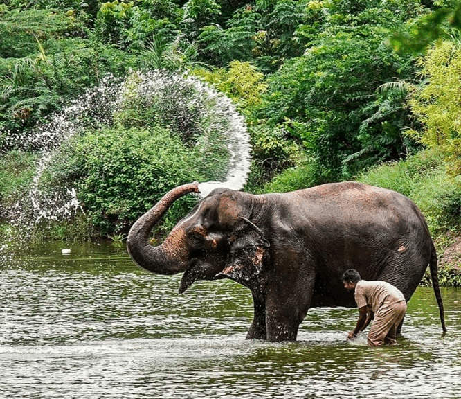 ezgif 2c2755f007f084