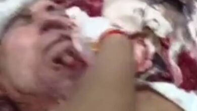 IMG 085355 11925 1757561052032