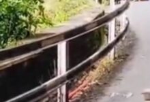 IMG 093109 04925 1756958485099