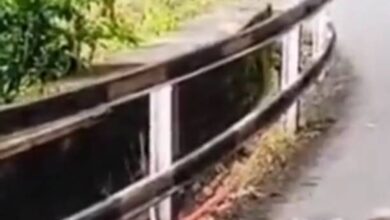 IMG 093109 04925 1756958485099