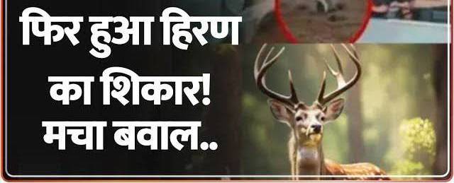 IMG 135201 23925 1758615739873