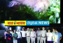 बरही में तेंदुए का खौफ, सुबह 4 बजे बछड़े को बनाया निवाला, रात भर बाउंड्री में डेरा, दहशत में किसान, रेस्क्यू की मांग 11 IMG 20250910 162450