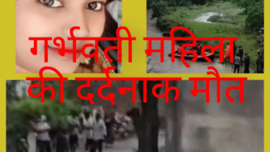 Screenshot 20250901 093143.Gallery