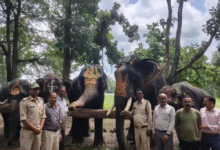 Screenshot 20250902 123726.WhatsApp