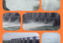 Screenshot 20250903 123617.Gallery