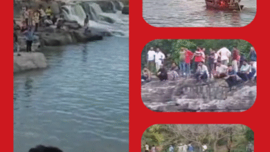 Screenshot 20250907 213645.Gallery