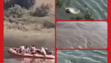 पुलिस को देखकर लाश ने लगाई दौड़... दहशत में आ गए राहगीर , ऐसे हुआ खुलासा 9 Screenshot 20250908 091018.Gallery